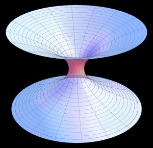 슈바르츠실트 웜홀의 "매장 다이어그램"