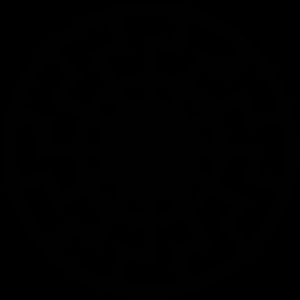 세라노는 아리아인-극북민족 혈통을 흑일의 "빛"으로 확인했는데, 이것은 SS-숭배 사이트 베벨스부르크 성에서 발견되는 상징이다.