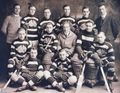 NHL 출범(1917). 이미지는 당시 오타와 세네이터스(Ottawa Senators).
