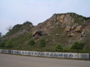 "의학적으로 불필요한 태아 성 감별 및 임신 중절 관행을 단속하라."