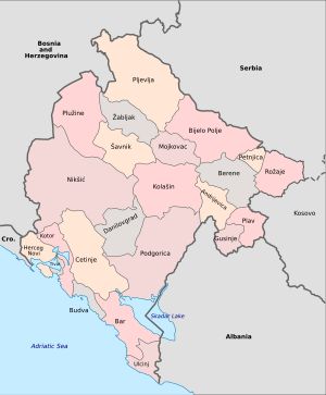 몬테네그로의 행정구역