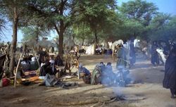 니제르의 여러 보다베(Wodaabe) 부족이 게레울(Guérewol) 축제를 위해 모였다