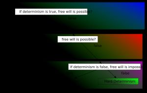 자유 의지와 결정론에 대한 철학적 입장의 단순화된 분류