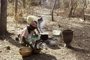 서아프리카의 요리 기술은 북미에서 노예 아프리카인들과 그 후손들에 의해 계속되었다.