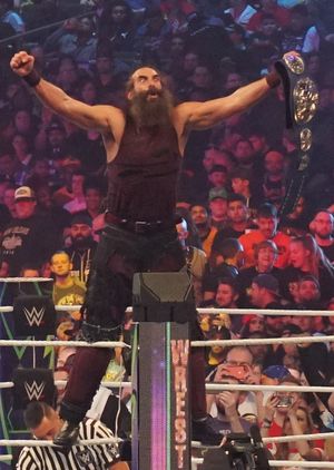 블러전 브라더스로서 로완과 함께 WWE 스맥다운 태그팀 챔피언십을 두 번 획득한 하퍼(사진은 그의 통치 기간 중 모습)