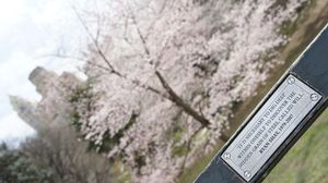 라이언 셰이 추모 명판