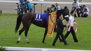 제23회 추화상 우승마 아몬드 아이