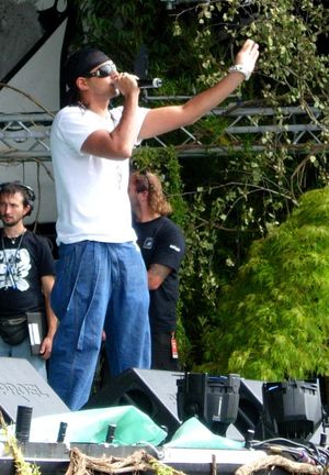 숀 폴(사진)이 "Baby Boy"에 보컬로 참여했다.