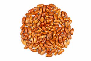 붉은 얼룩무늬 강낭콩