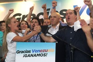 2015년 12월 의회 선거에서 민주연합(MUD)의 3분의 2 의석 확보를 축하하는 주요 인물들(왼쪽부터 리리안 틴토리, 프레디 과베라, 헤수스 토레알바, 훌리오 보르헤스)