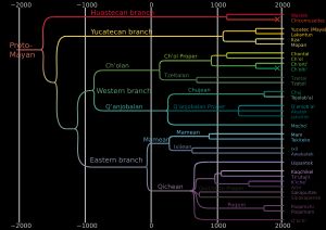 마야어족의 역사와 계보. 칵치켈어는 라벤더색으로 표시된 키체어족 하위 그룹에 속한다.