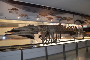 과학 박물관, UNIVERSUM