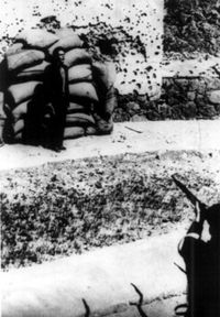 1929년 2월 9일, 멕시코 대통령 알바로 오브레곤을 암살한 호세 데 레온 토랄(1900~1929)의 처형