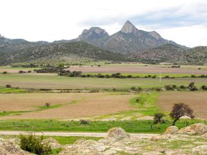 주 계곡 지역의 엘 피카초