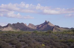 바히아 키노 근처의 하스테에콜라 산봉우리