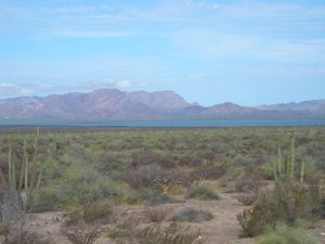 인피에르닐로 해협 너머로 보이는 티부론 섬