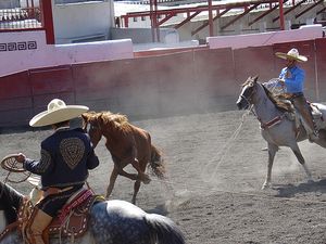 전통적인 차로 의상