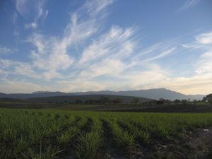 호주틀라의 들판