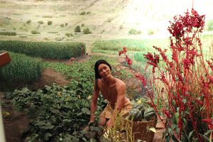 원주민들이 재배한 재배 식물 종이 전 세계적으로 생산되는 작물에 미친 영향을 나타낸 그림