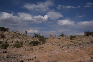 오후엘로스 시의 사막.