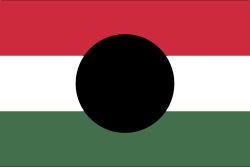 1956년 봉기의 상징이 된 헝가리 국기 (1949-1956년 국장 제거).