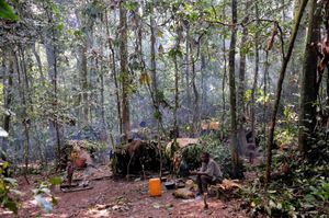 아프리카 피그미족이 장가 상가 특별 보호 구역에 거주하는 모습