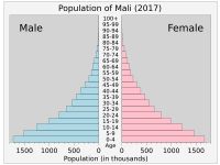 말리의 인구 피라미드