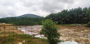 킨샤사의 응셀레 계곡 공원(Parc de la Vallée de la Nsele)을 가로지르는 콩고 강