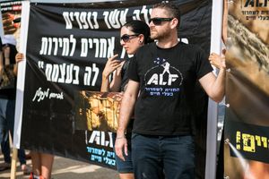 정치 시위 (동물 해방 전선(ALF)의 이스라엘 시위)