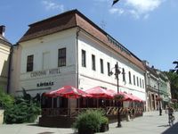 도로티아 하우스(쵸코나이 호텔)