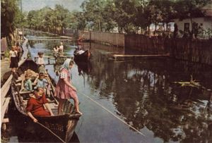 도나우 델타의 러시아어를 사용하는 리포반인