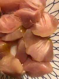 조리 전 숭어의 위