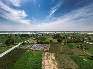 나일 강변의 농경지