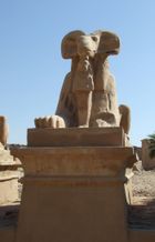 숫양 머리 스핑크스(카르나크 신전)