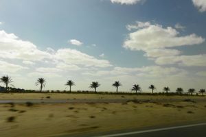 와디엘나트룬 - 엘알라메인 도로, 베헤이라 주, 이집트