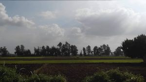 디아브 네그므의 농장들