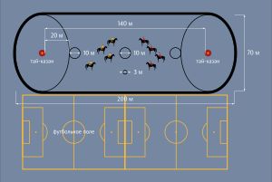 Kokboru 경기장과 두 개의 축구장