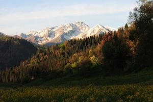 중국 측 일리 카자흐 자치주의 콜데넨 계곡