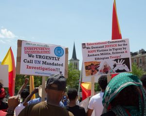 티그라이 전쟁 항의 시위