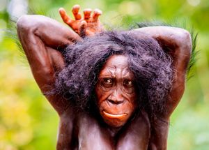 아드리와 알폰스 케니스가 독일의 네안데르탈 박물관에서 재구성한 대부분 털이 없는 수컷 A. sediba의 모습