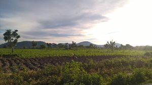 쿠제의 농지, 나이지리아 연방수도 준주 식량 생산지