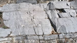 담회색 석회암 지층