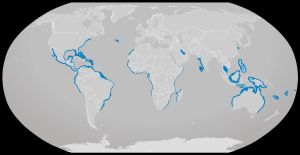 황소상어 분포 지역