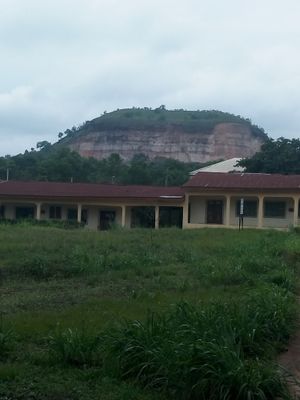 아비아 주립대학교