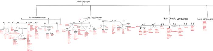 차드어파의 계통도
