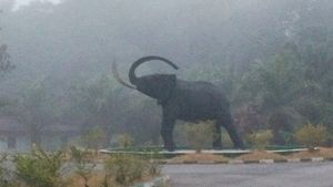 크로스리버 국립공원