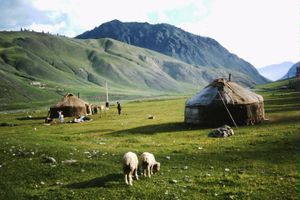 200km 우루무치 북동쪽 티엔산 산맥의 카자흐 유르트(2100m 고도, 1991년 8월)