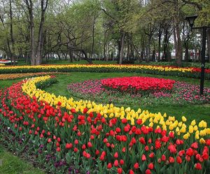 마시하드 멜라트 자나 공원