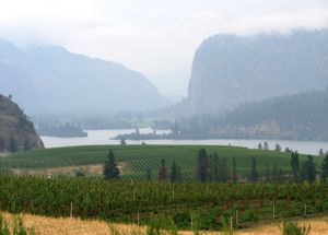 브리티시컬럼비아주 오카나간 폴스의 블루 마운틴 포도원