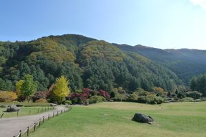 아침고요수목원